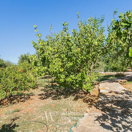 Villa Wanderlust Experience Apulian Hills *